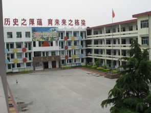 临沂第三实验小学 百科